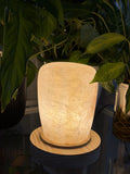 The Column L lit, a frosted crackled alabaster lamp with a closed rounded top on a pale wood disc, framed by houseplant leaves