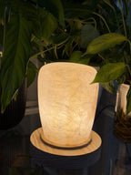 The Column L lit, a frosted crackled alabaster lamp with a closed rounded top on a pale wood disc, framed by houseplant leaves
