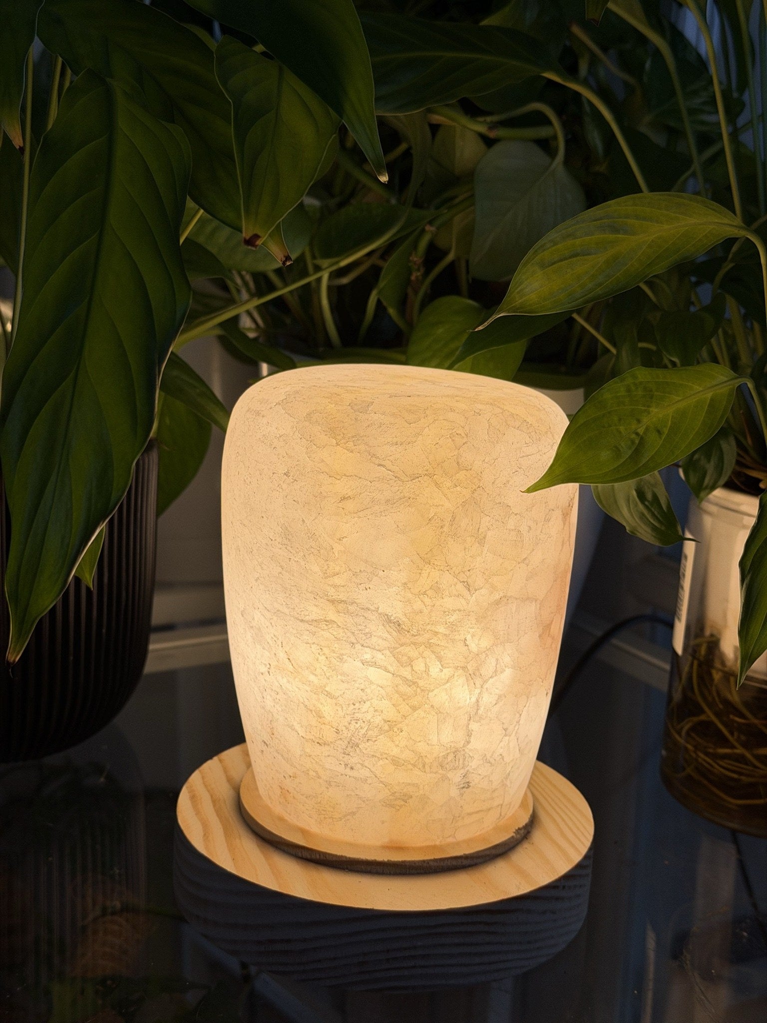 The Column L lit, a frosted crackled alabaster lamp with a closed rounded top on a pale wood disc, framed by houseplant leaves