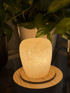 The Column L lit on a ridged pedestal, soft white light diffusing through the frosted crackled alabaster, leaves overhead