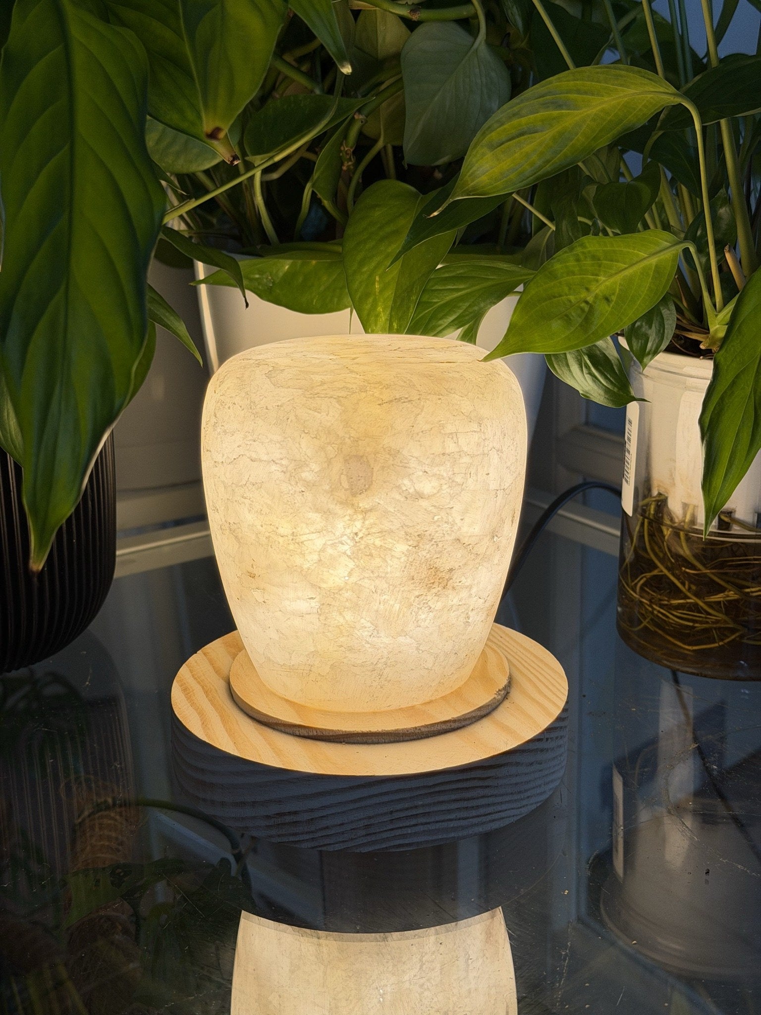 The Column L lamp lit, a rust-toned mineral blemish visible on the frosted surface, plant leaves around it