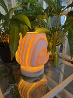 The Boulder lit on a glass shelf among houseplants, its banded alabaster body mirrored in the glass below