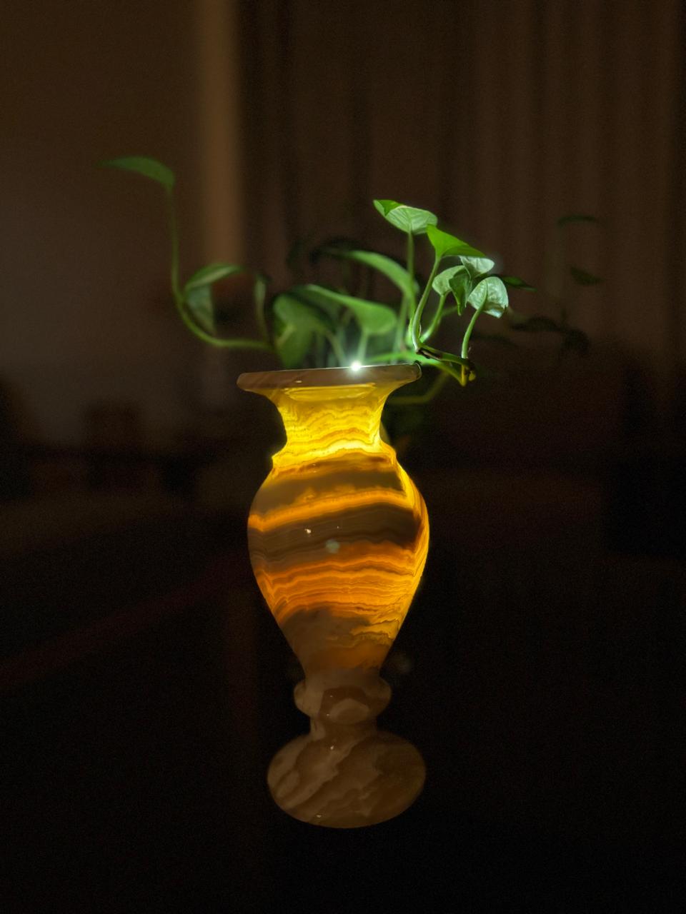 Decorative vase with a plant inside on a dark background